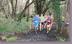 Begles 15.12.13 01 1024 * 680 x 406 * (188KB)